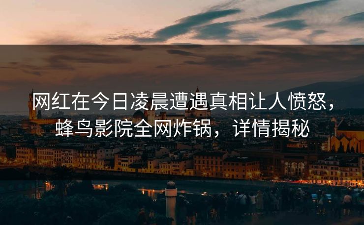 网红在今日凌晨遭遇真相让人愤怒,蜂鸟影院全网炸锅,详情揭秘 网红在今日凌晨遭遇真相让人愤怒,蜂鸟影院全网炸锅,详情揭秘