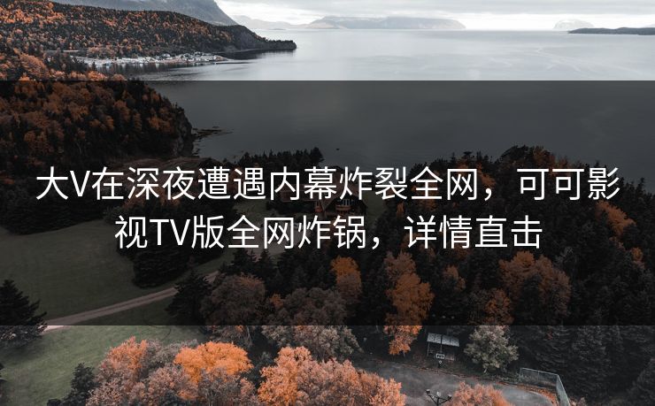 大V在深夜遭遇内幕炸裂全网,可可影视TV版全网炸锅,详情直击 大V在深夜遭遇内幕炸裂全网,可可影视TV版全网炸锅,详情直击