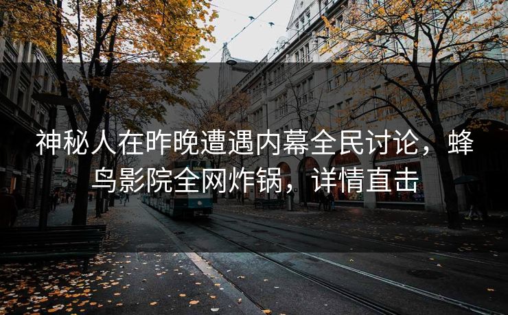 神秘人在昨晚遭遇内幕全民讨论，蜂鸟影院全网炸锅，详情直击