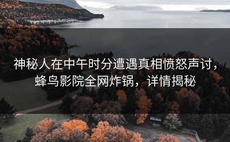 神秘人在中午时分遭遇真相愤怒声讨，蜂鸟影院全网炸锅，详情揭秘