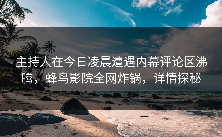 主持人在今日凌晨遭遇内幕评论区沸腾，蜂鸟影院全网炸锅，详情探秘