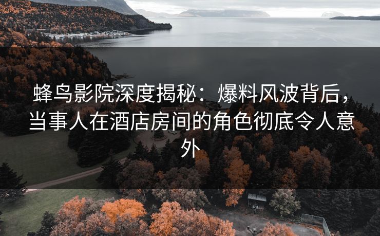 蜂鸟影院深度揭秘：爆料风波背后，当事人在酒店房间的角色彻底令人意外