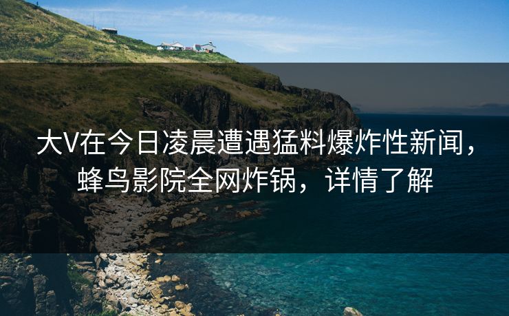 大V在今日凌晨遭遇猛料爆炸性新闻，蜂鸟影院全网炸锅，详情了解