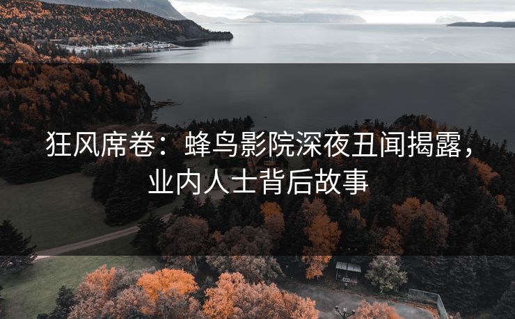 狂风席卷：蜂鸟影院深夜丑闻揭露，业内人士背后故事